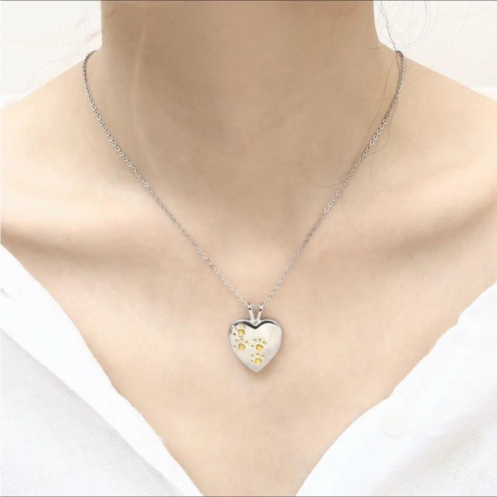 Steel Silver Pet Urn Necklace